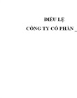 Phụ lục sửa đổi, bổ sung điều lệ công ty/hoặc hợp đồng liên doanh (nếu có)